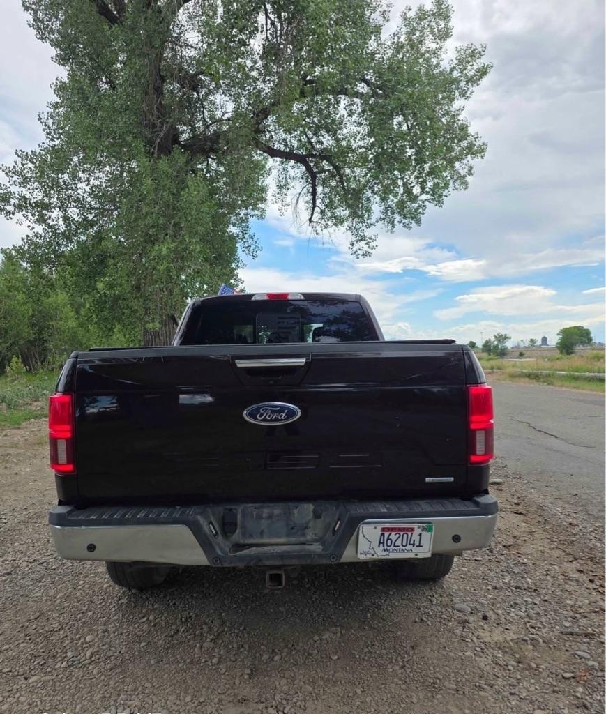 Ford F-150 XL SuperCrew 5.5-ft. Bed 4WD 2019