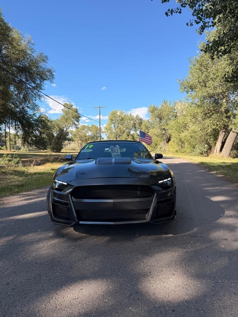 Ford Mustang EcoBoost Premium Convertible 2019