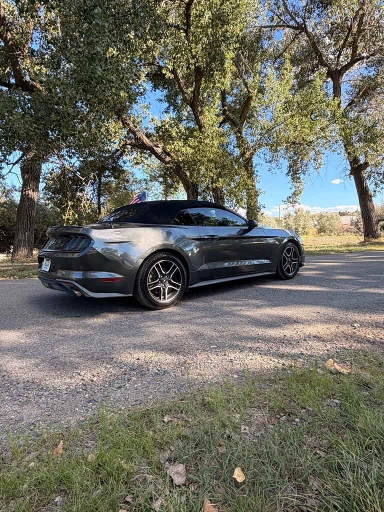 Ford Mustang EcoBoost Premium Convertible 2019