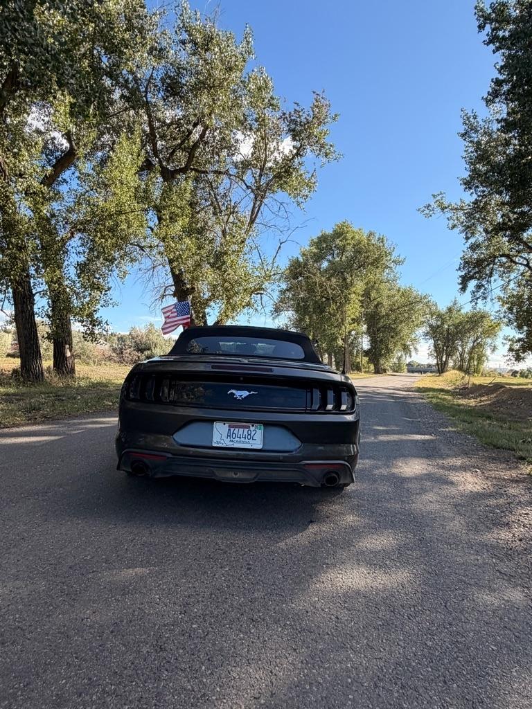 Ford Mustang EcoBoost Premium Convertible 2019