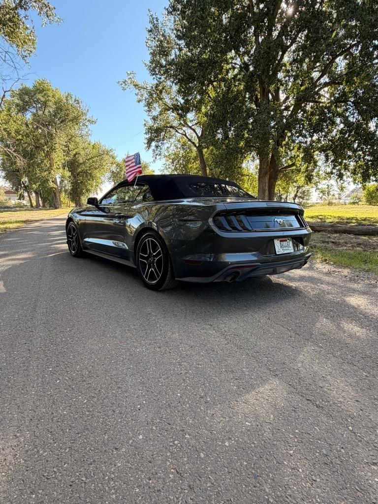Ford Mustang EcoBoost Premium Convertible 2019