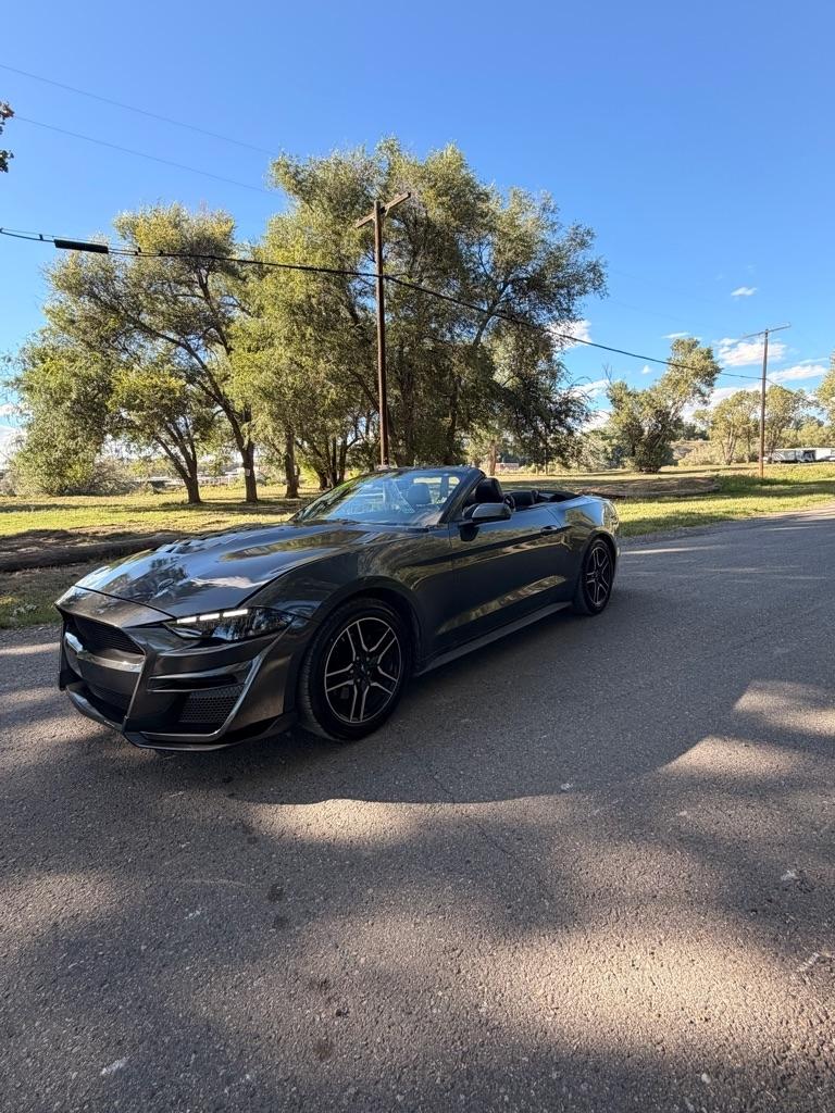 Ford Mustang EcoBoost Premium Convertible 2019