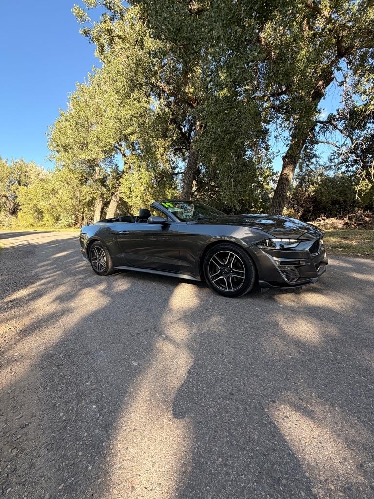 Ford Mustang EcoBoost Premium Convertible 2019