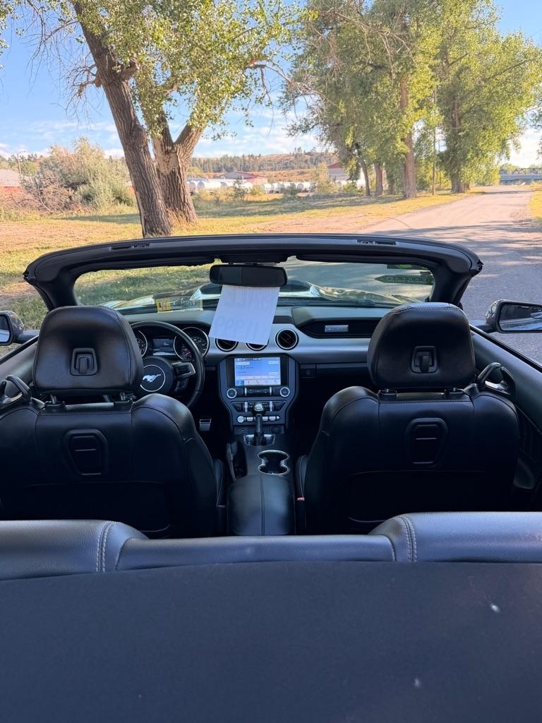 Ford Mustang EcoBoost Premium Convertible 2019