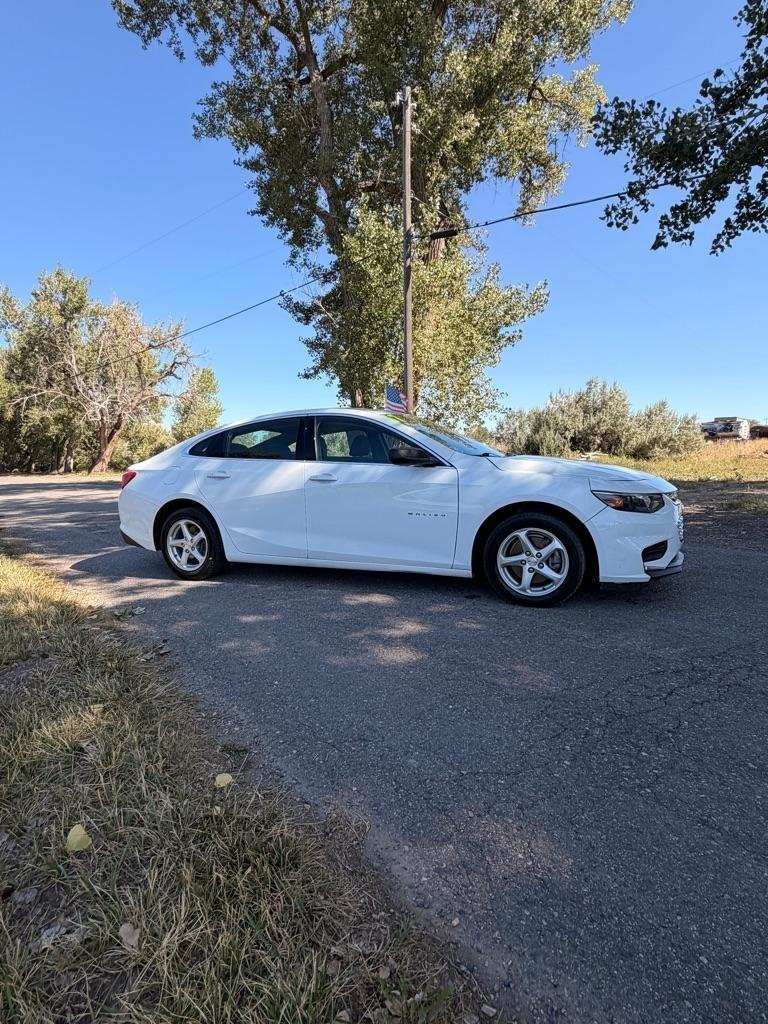 Chevrolet Malibu 1FL 2017