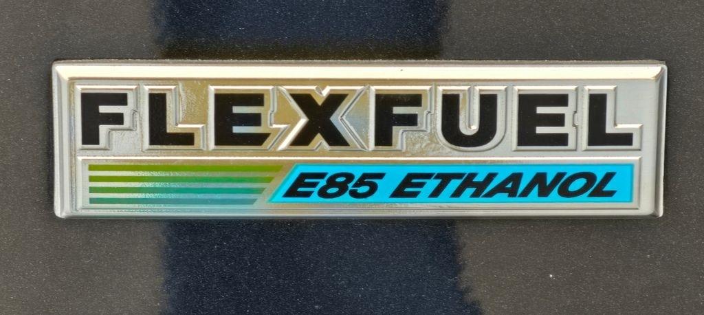 Dodge Grand Caravan  2019