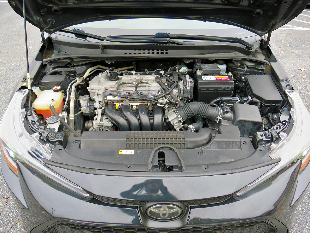 Toyota Corolla L CVT (Natl) 2020