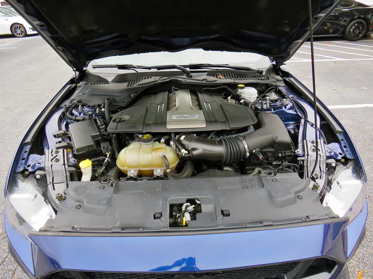 Ford Mustang GT Premium 2019