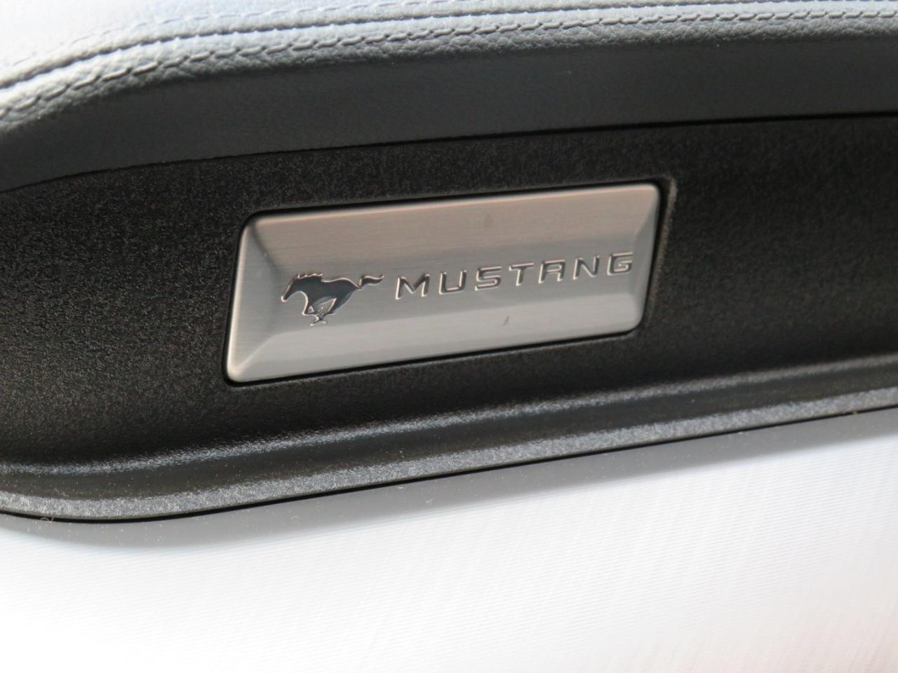 Ford Mustang GT Premium 2019