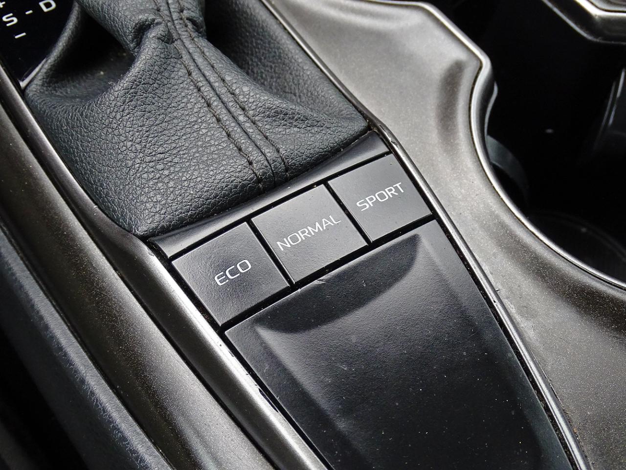 Toyota Camry SE Auto (Natl) 2024