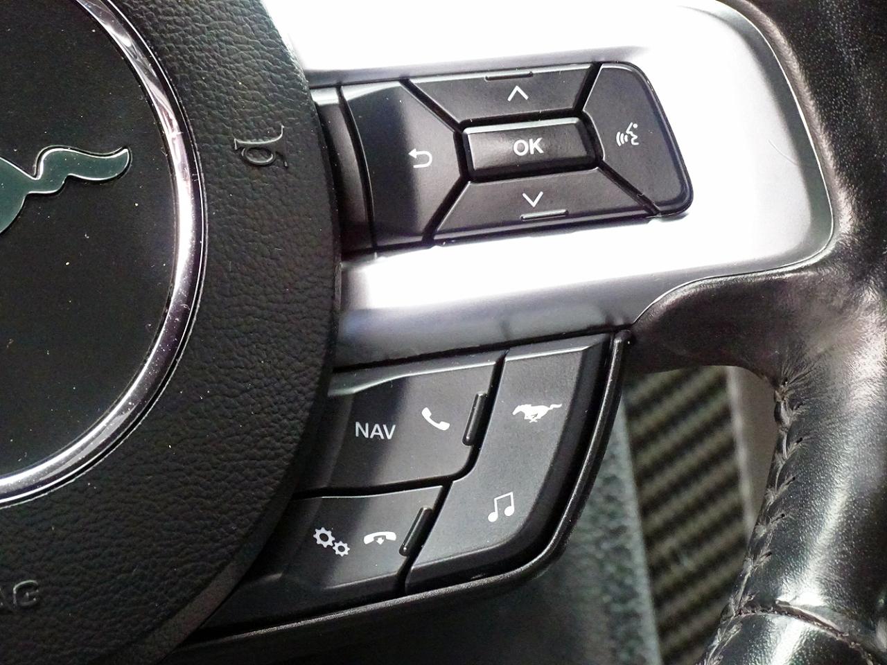 Ford Mustang GT Premium 2D Coupe 2019