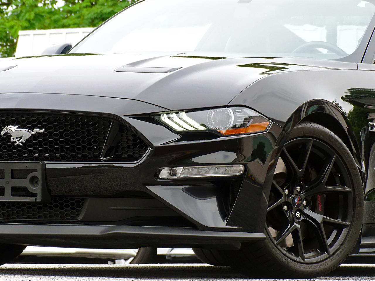 Ford Mustang GT Premium 2019
