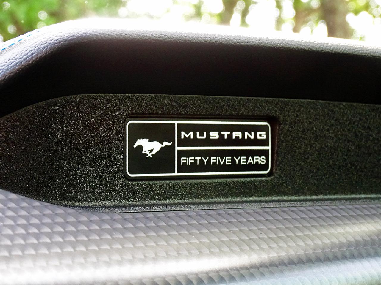 Ford Mustang GT Fastback 2020