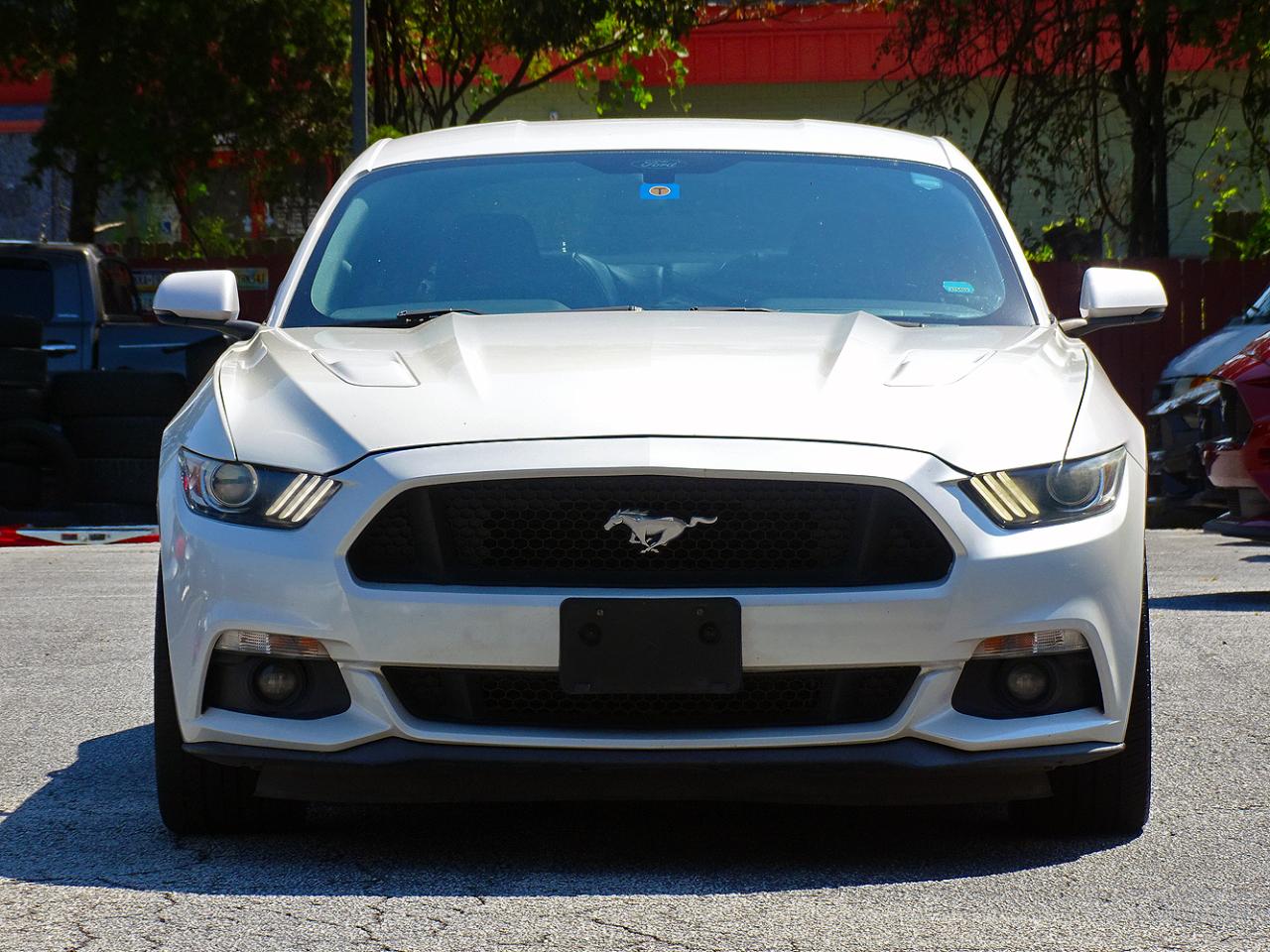 Ford Mustang photo 8