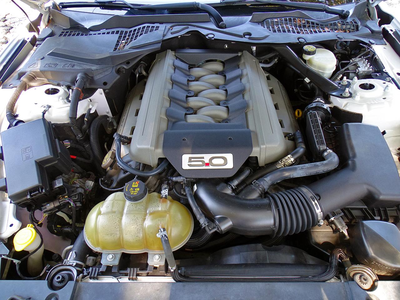 Ford Mustang photo 13