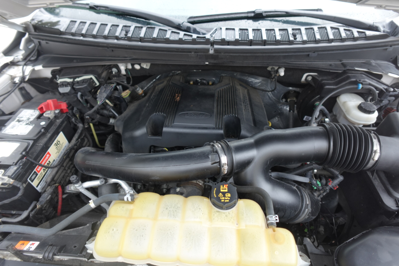 Ford Expedition Platinum 4WD 2019 Ford Expedition Platinum 4WD 2019