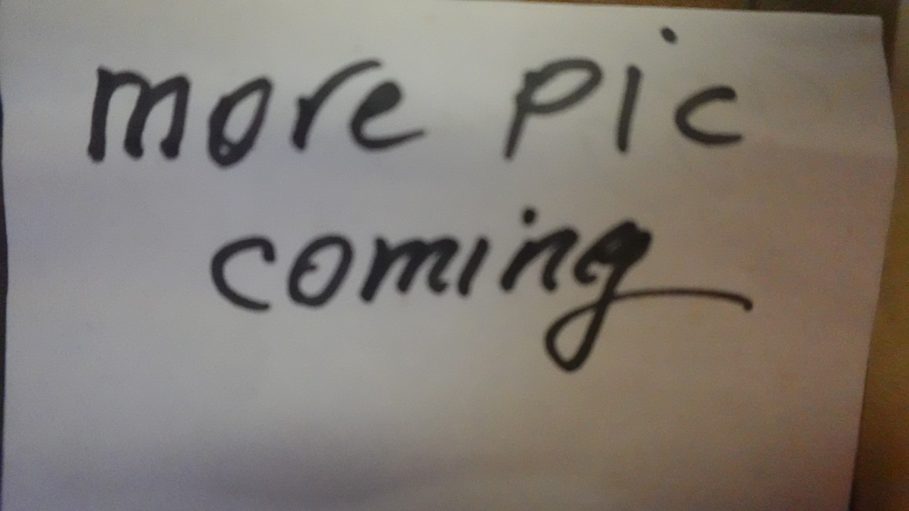 Porsche 911 Carrera 4 Cabriolet 2010