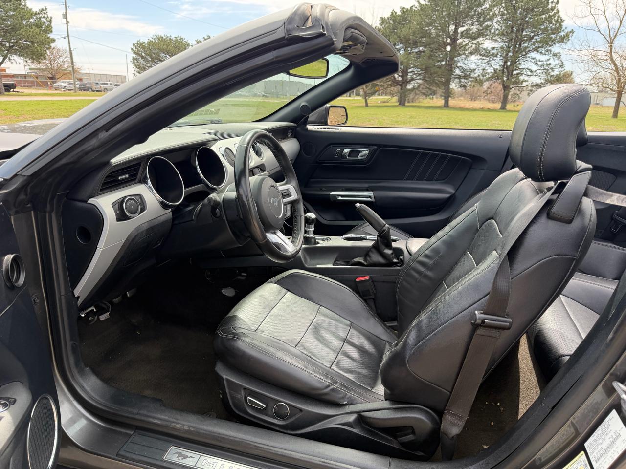 Ford Mustang 2dr Conv EcoBoost Premium 2015