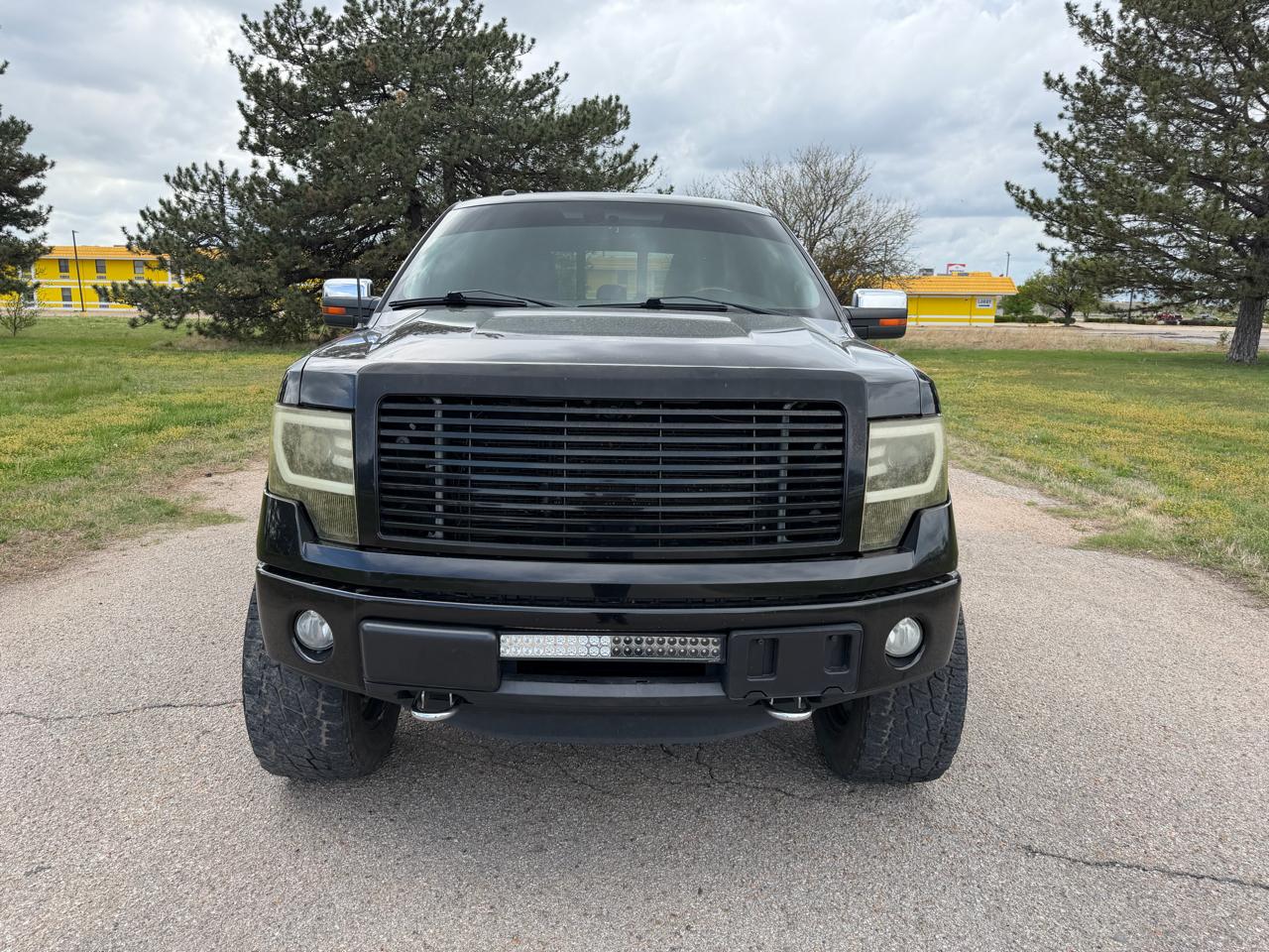 Ford F-150 4WD SuperCrew 145" Platinum 2014