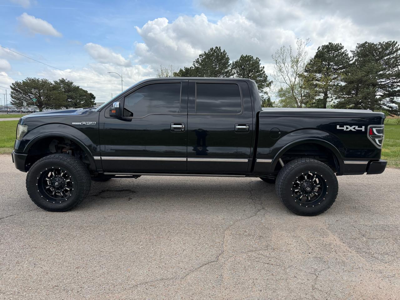 Ford F-150 4WD SuperCrew 145" Platinum 2014