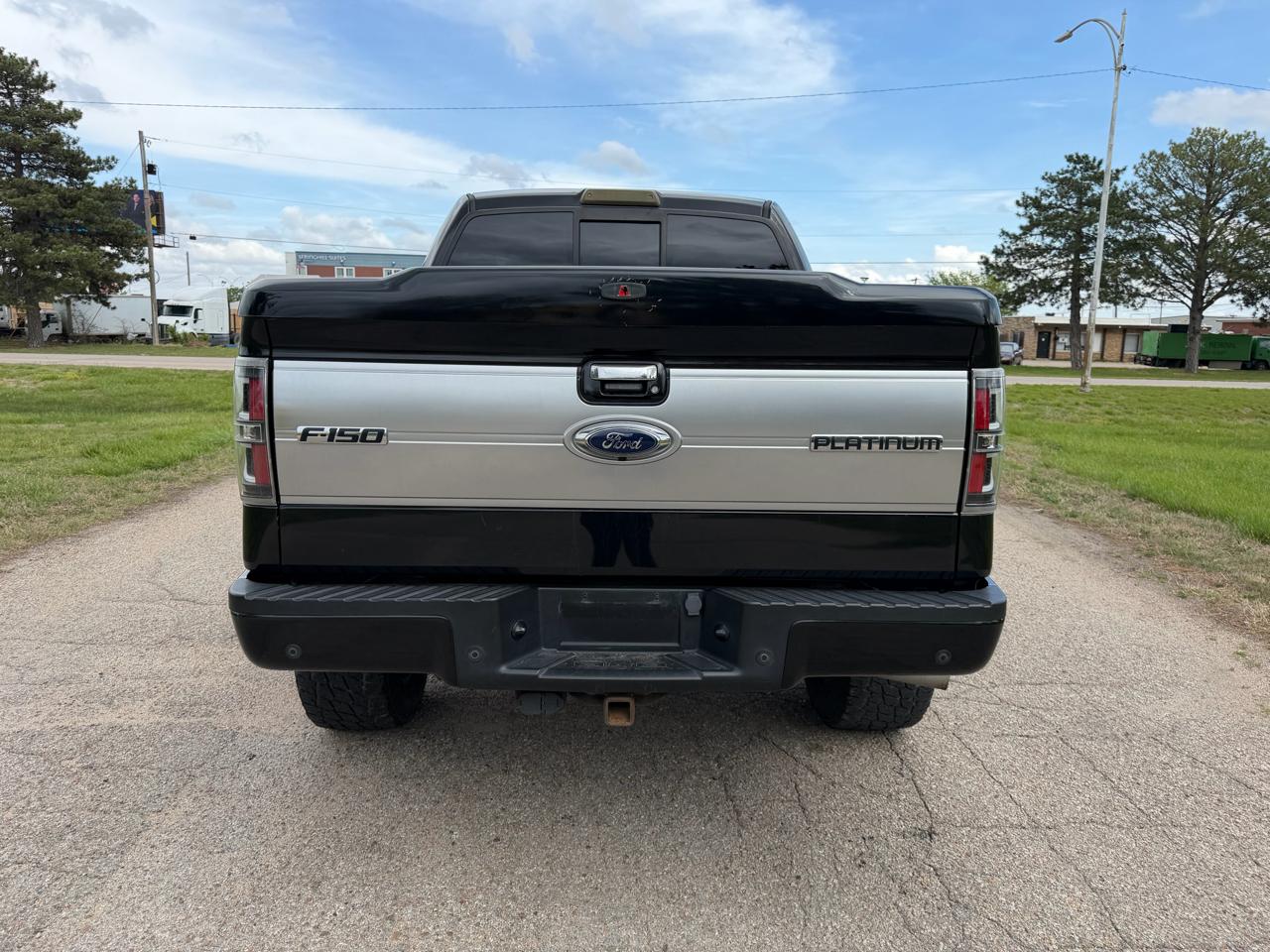 Ford F-150 4WD SuperCrew 145" Platinum 2014