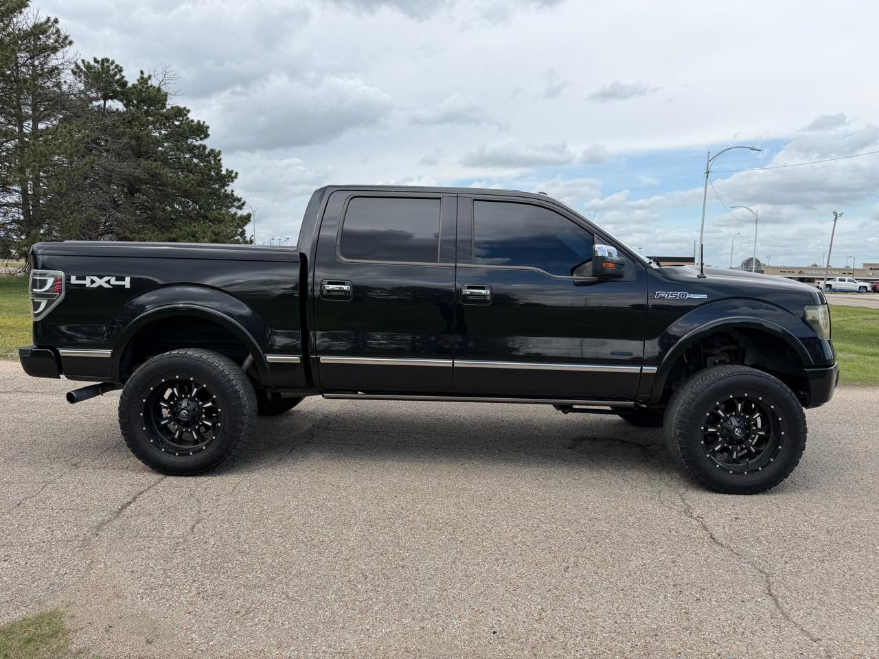 Ford F-150 4WD SuperCrew 145" Platinum 2014