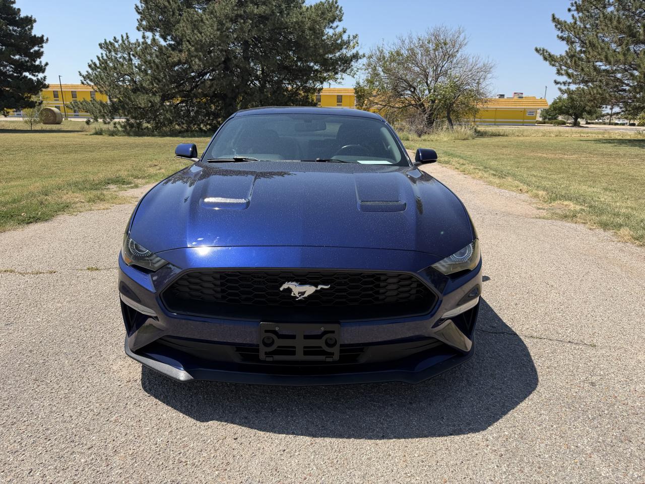 Ford Mustang EcoBoost Fastback 2018