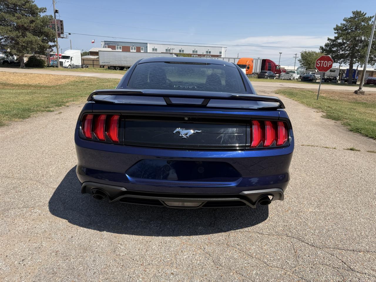 Ford Mustang EcoBoost Fastback 2018
