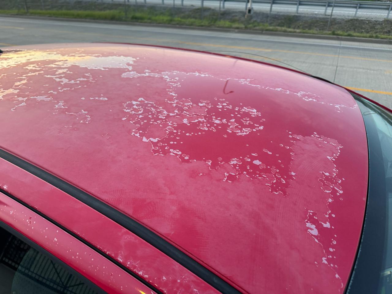 2007 Toyota Yaris Base - Photo 9