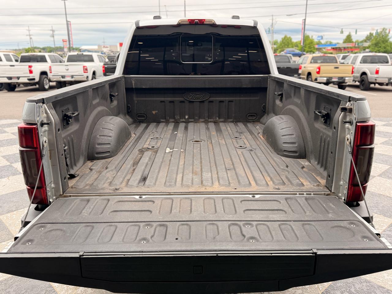 Ford F-250 SD Platinum Crew Cab 4WD 2022