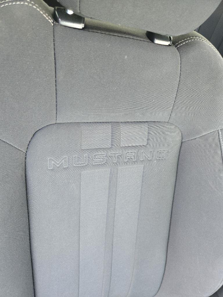 Ford Mustang GT Fastback 2019