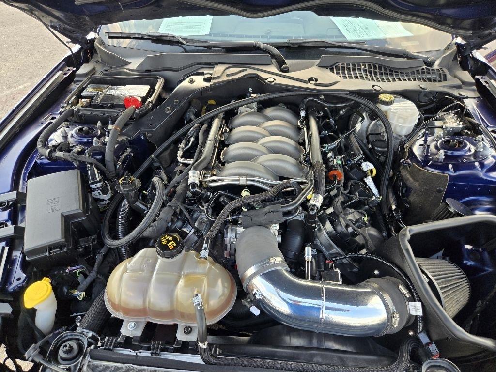 Ford Mustang GT Fastback 2019