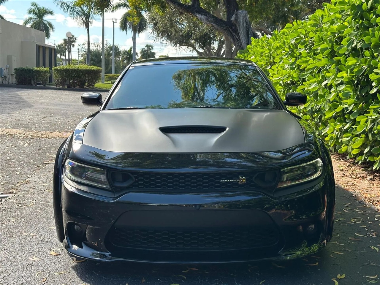 Dodge Charger Scat Pack 2020 Dodge Charger Scat Pack 2020