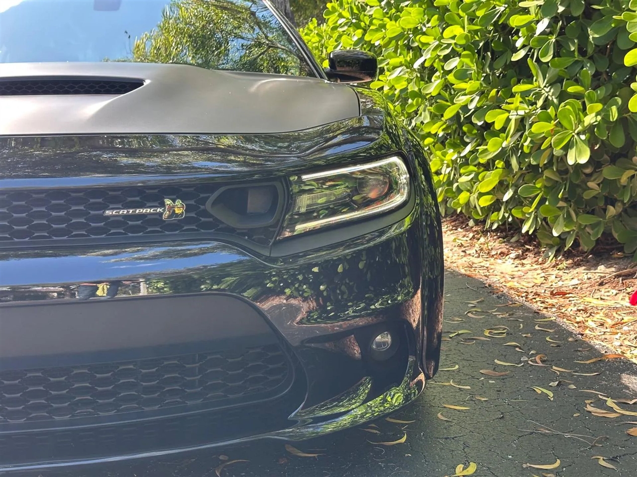 Dodge Charger Scat Pack 2020 Dodge Charger Scat Pack 2020