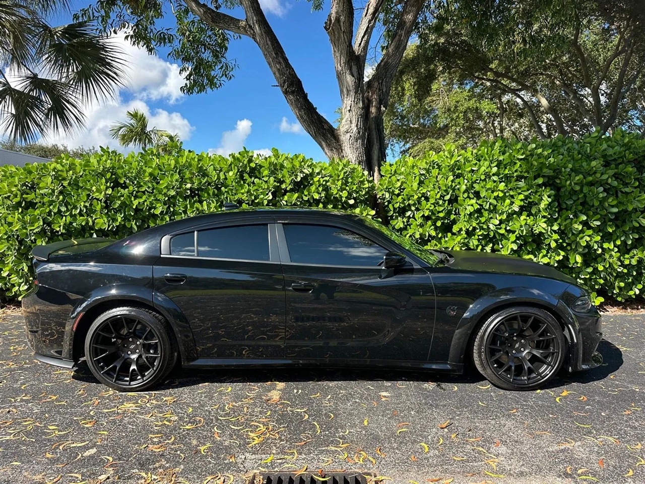Dodge Charger Scat Pack 2020 Dodge Charger Scat Pack 2020