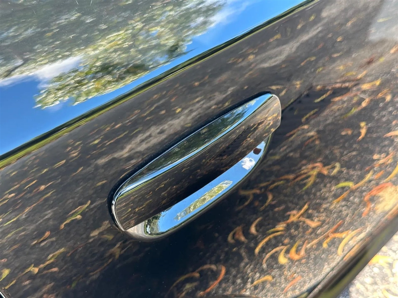 Dodge Charger Scat Pack 2020 Dodge Charger Scat Pack 2020