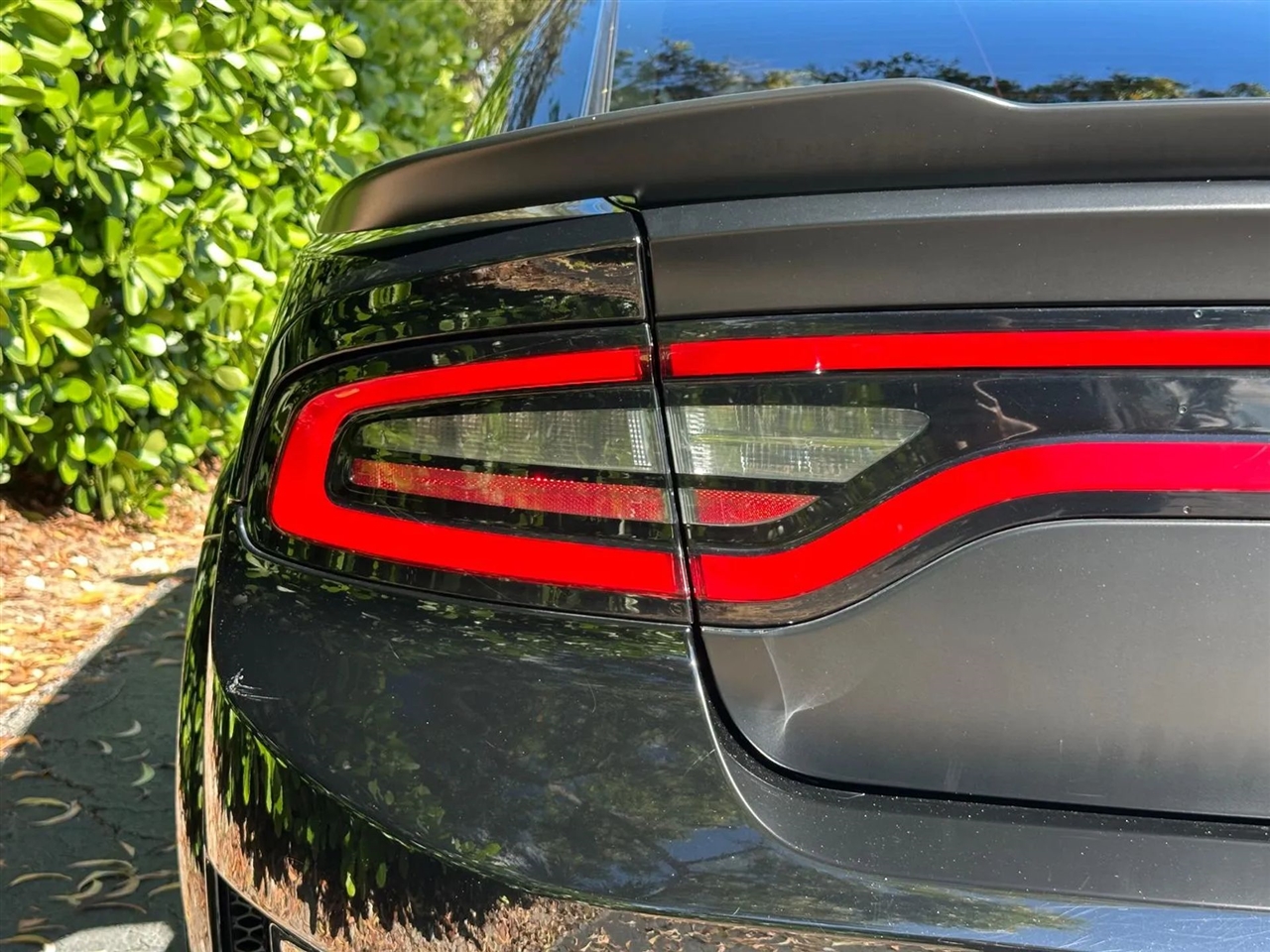 Dodge Charger Scat Pack 2020 Dodge Charger Scat Pack 2020