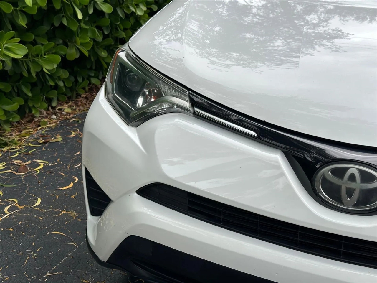 Toyota RAV4 LE FWD 2017