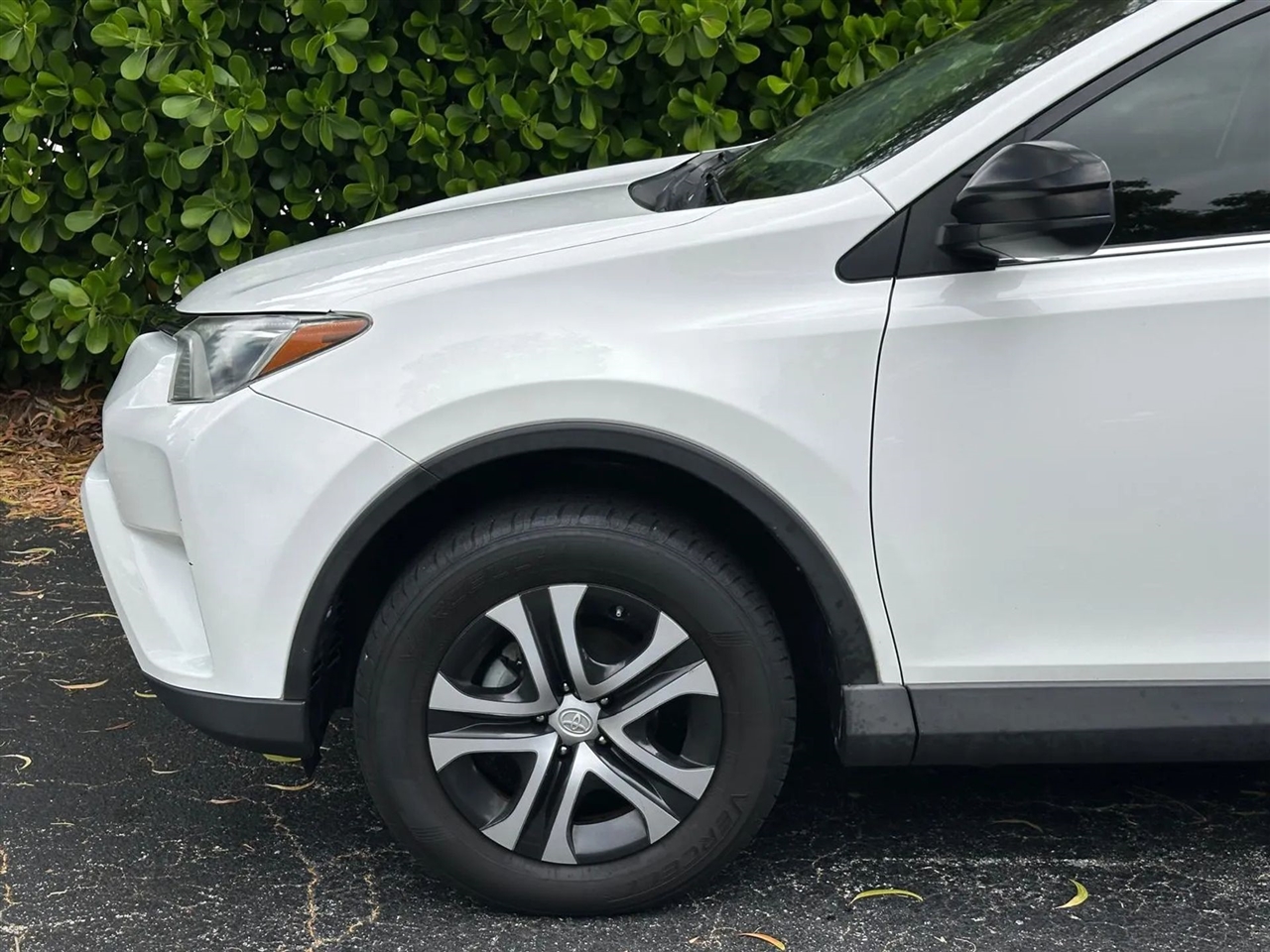 2017 Toyota RAV4 LE photo 2