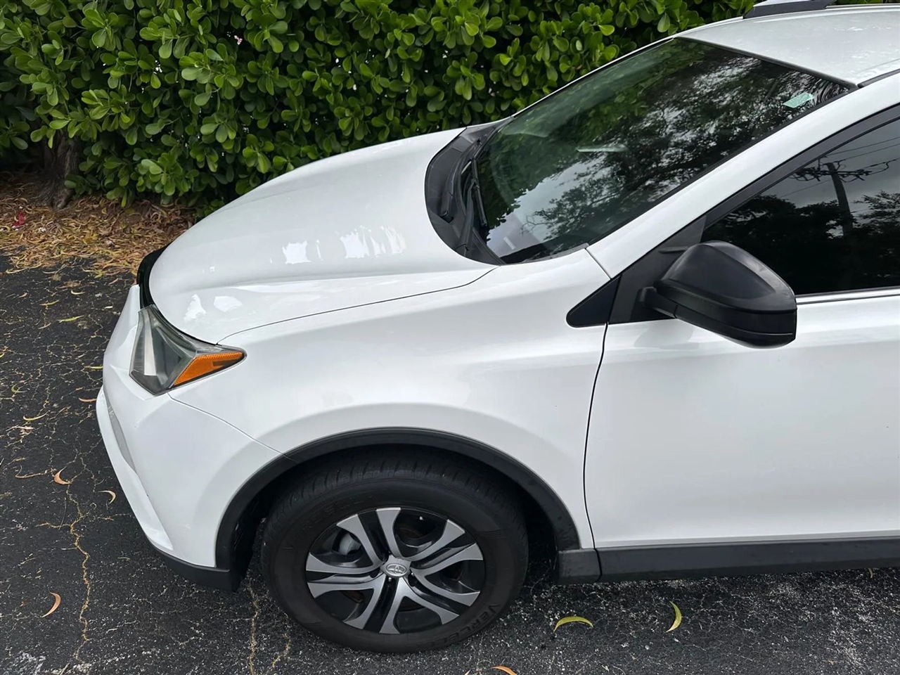 2017 Toyota RAV4 LE photo 4