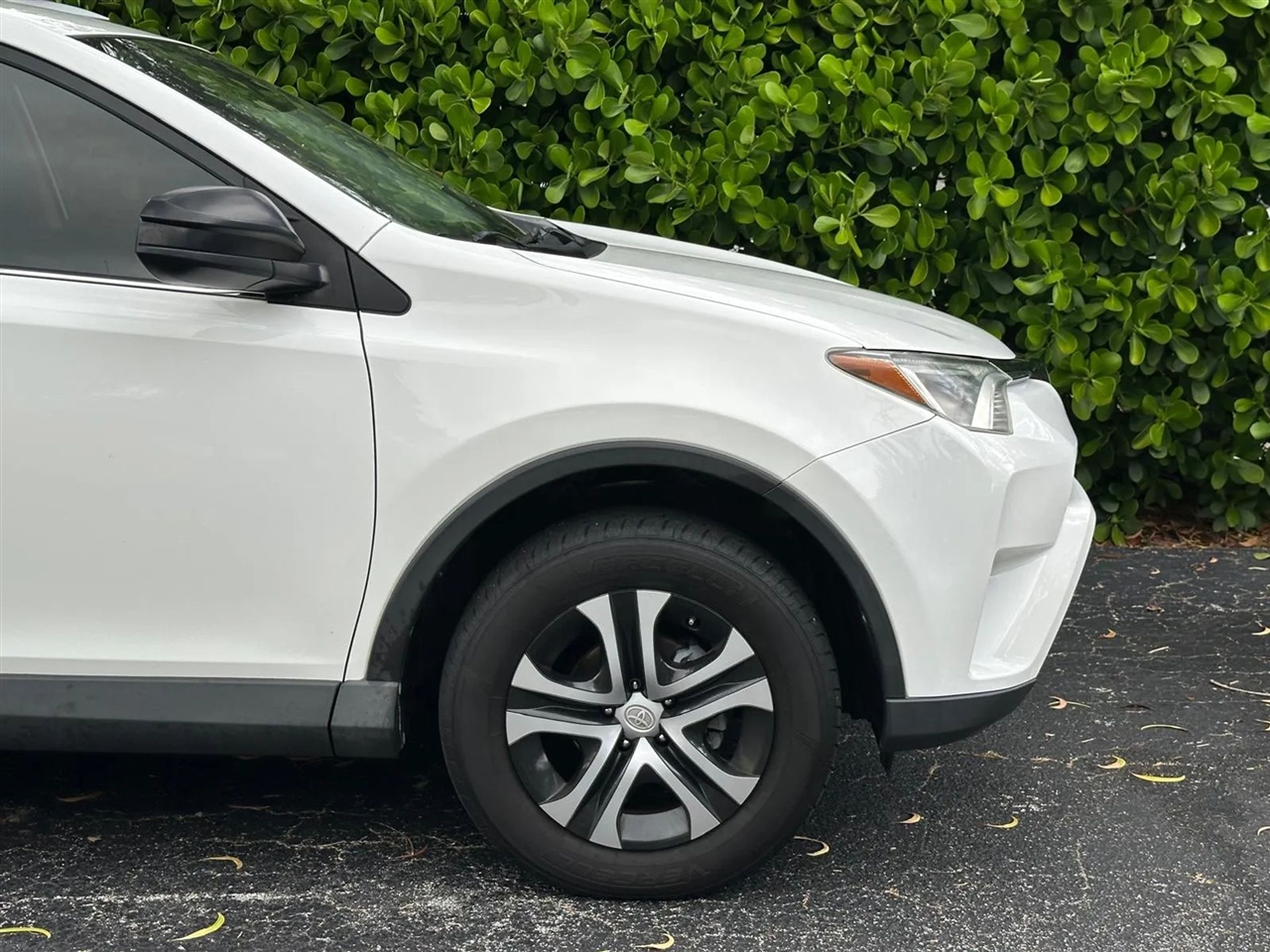 Toyota RAV4 LE FWD 2017