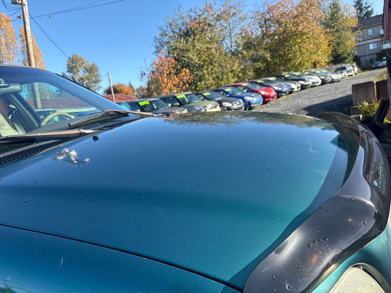 Ford Expedition XLT 4WD 1997 Ford Expedition XLT 4WD 1997