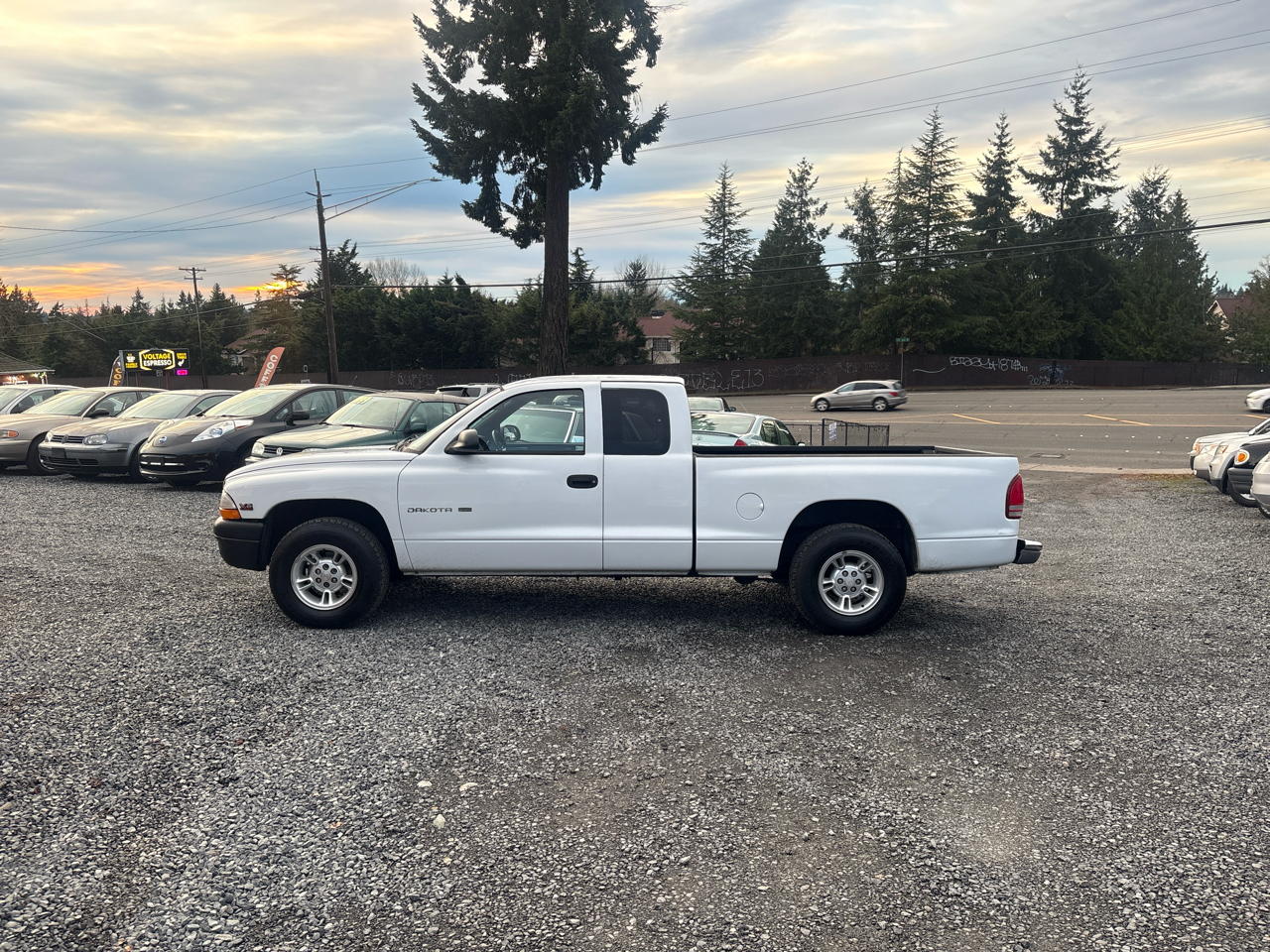 Dodge Dakota Club Cab 2WD 1999