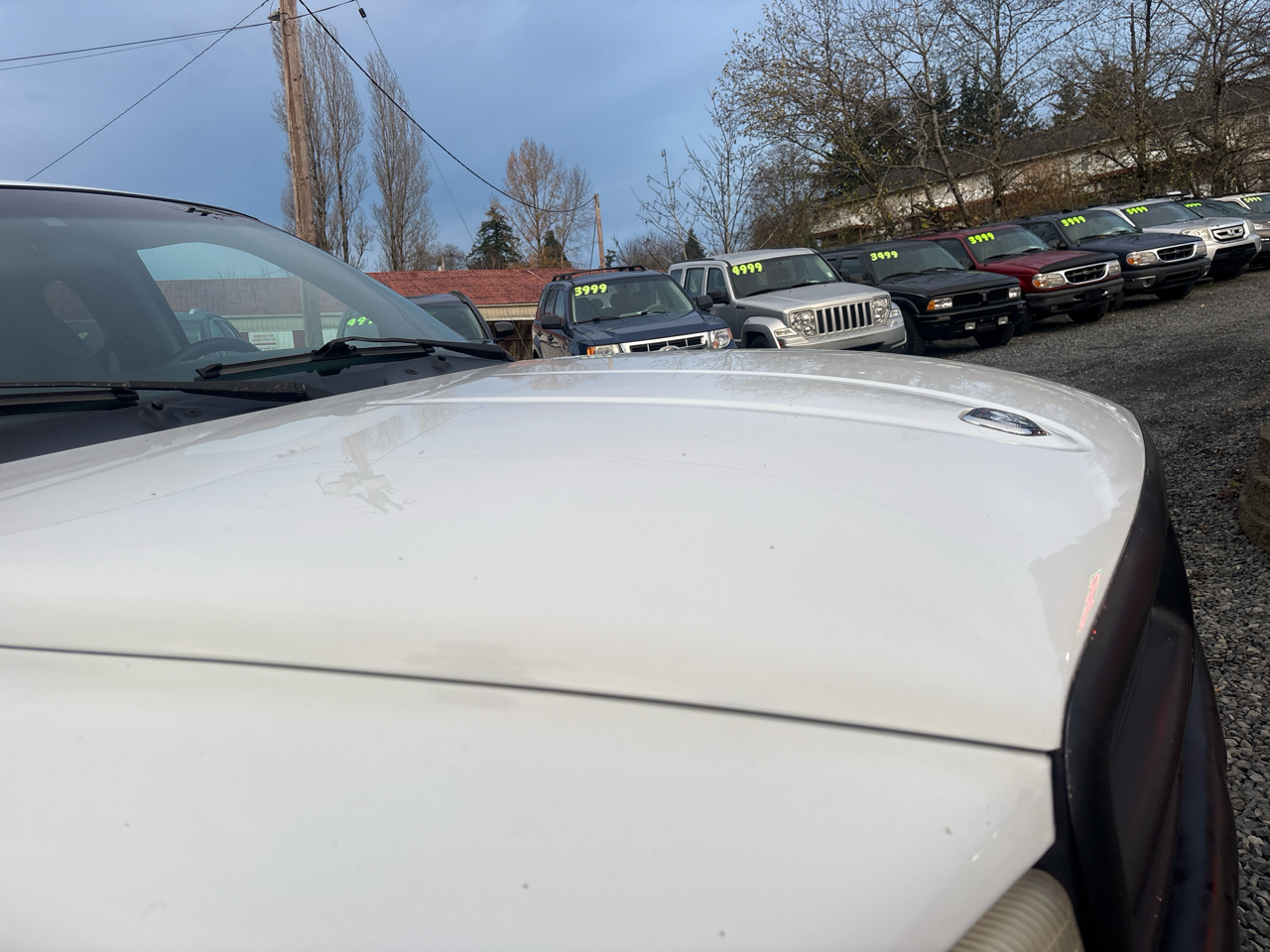 Dodge Dakota Club Cab 2WD 1999