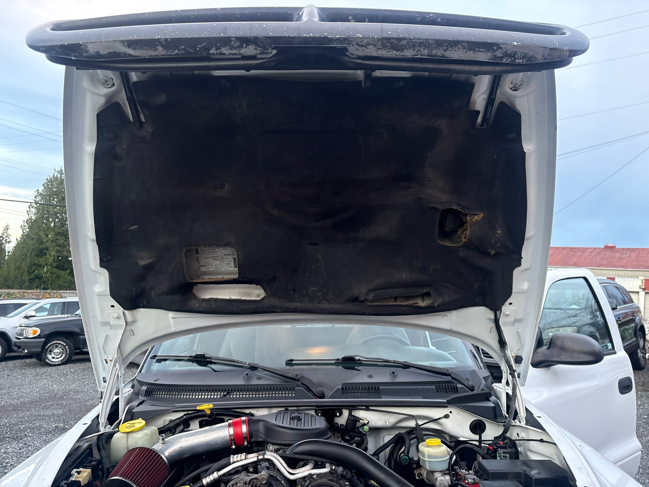 Dodge Dakota Club Cab 2WD 1999