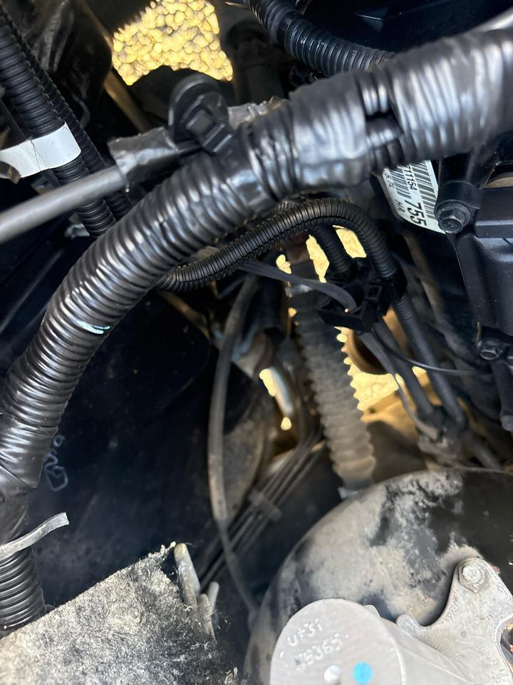 Dodge Ram 1500 SXT Quad Cab Long Bed 4WD 2008