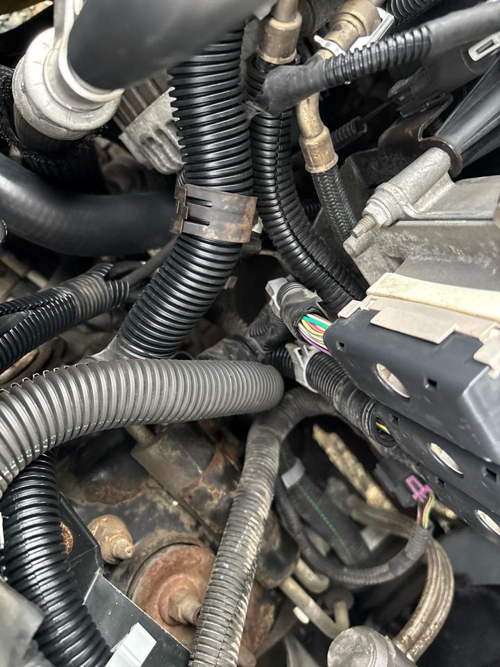 Chevrolet TrailBlazer LS 4WD 2002