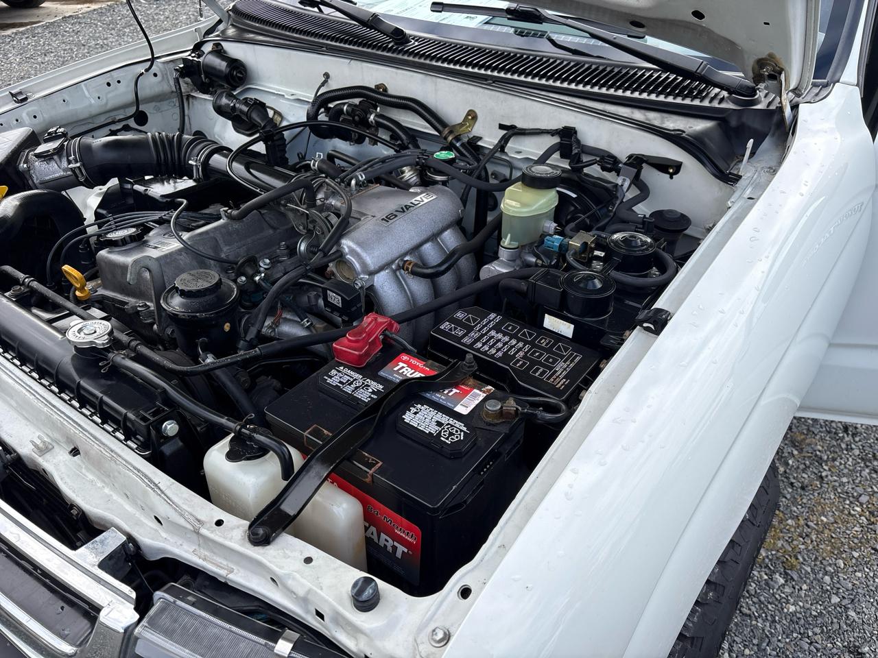 Toyota Tacoma Regular Cab 2WD 1998