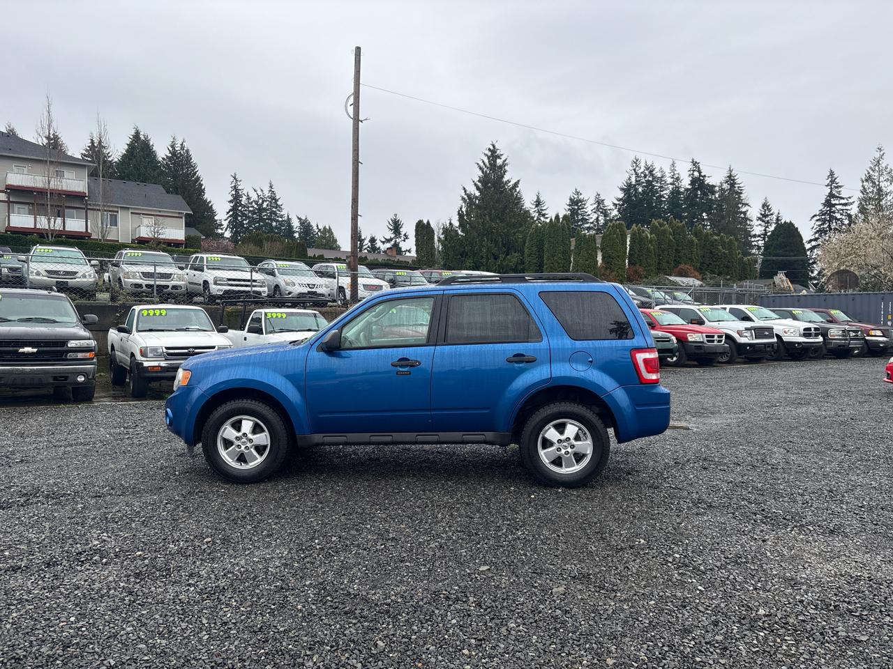 Ford Escape XLT 4WD 2011