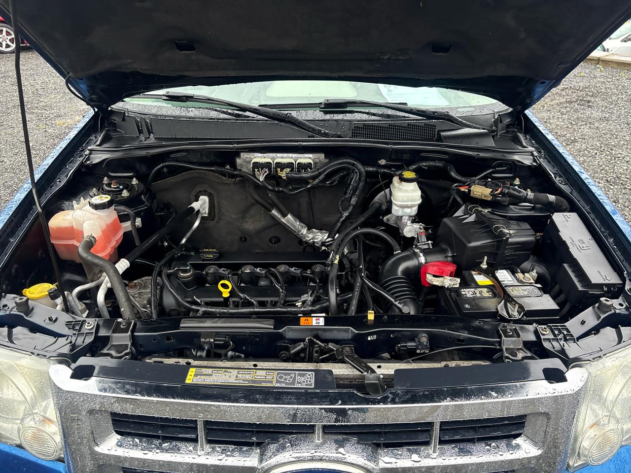 Ford Escape XLT 4WD 2011